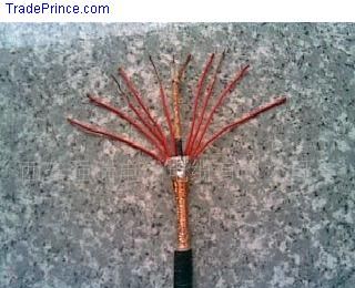 �c���鿴�����DƬ