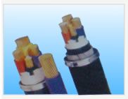 �c���鿴�����DƬ