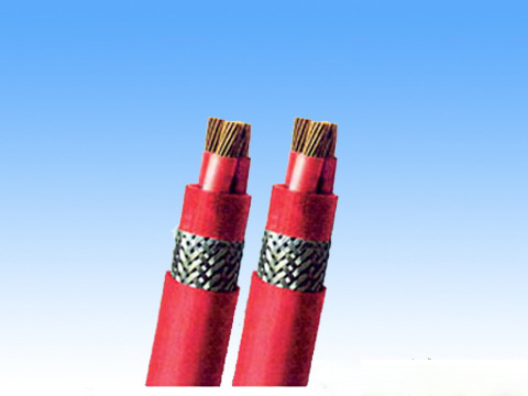 �c���鿴�����DƬ