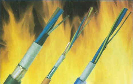 �c���鿴�����DƬ